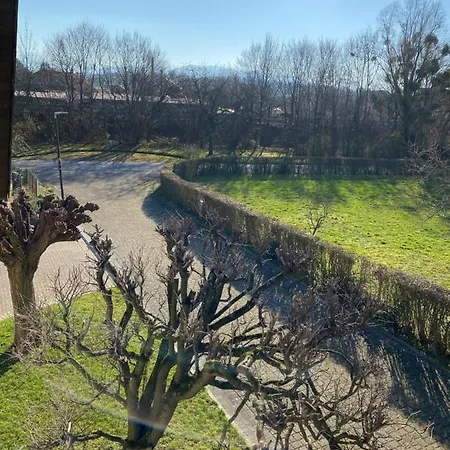 Apartment Am Waldweg Achern