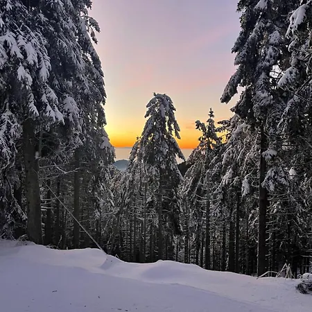 Am Waldweg Διαμέρισμα *