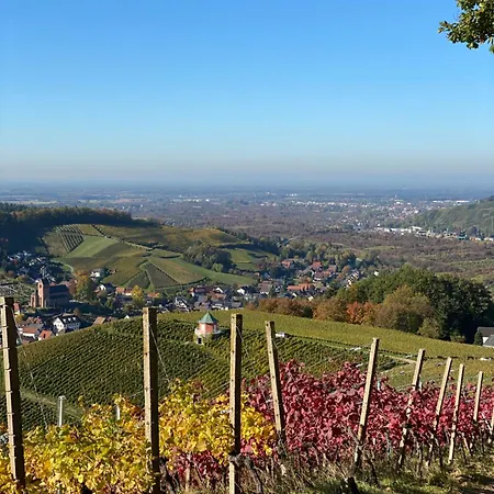 Διαμέρισμα Am Waldweg Achern